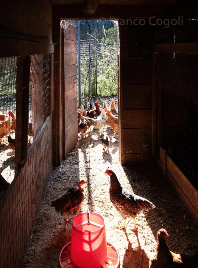 Agriturismo Borgo Titol Tramonti di Sopra Eksteriør bilde